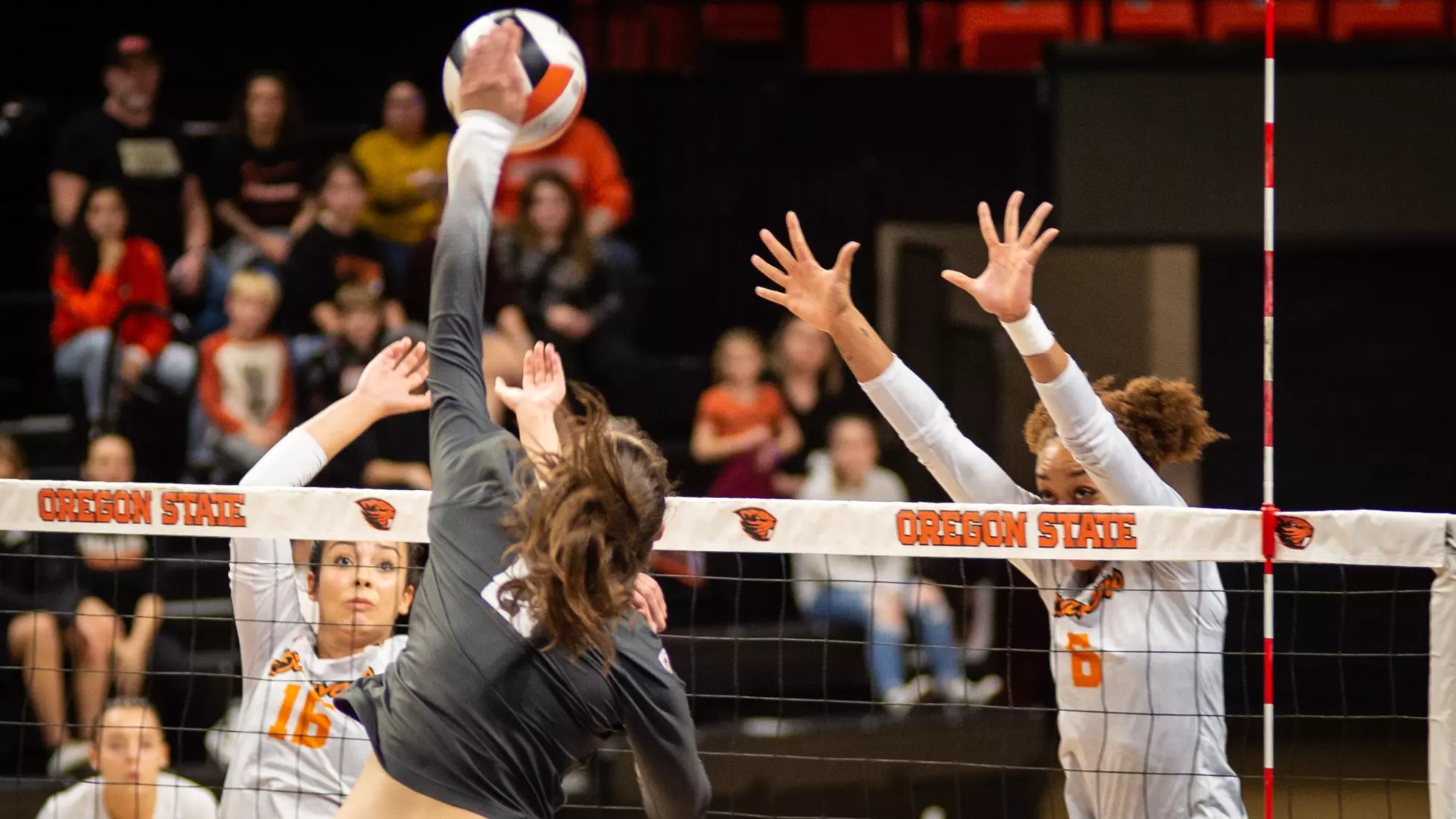 Washington State defeated Oregon State, 3-0, on Friday, Nov. 4, 2022, at Gill Coliseum.