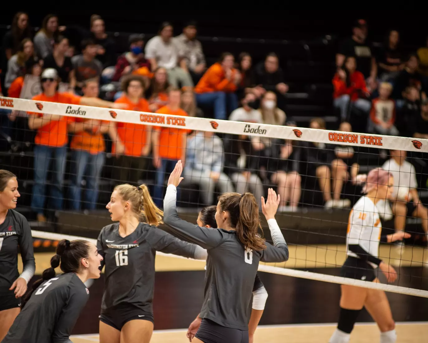 Washington State defeated Oregon State, 3-0, on Friday, Nov. 4, 2022, at Gill Coliseum.