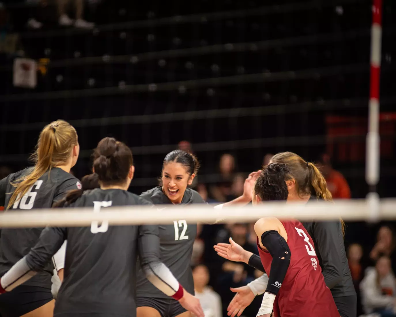 Washington State defeated Oregon State, 3-0, on Friday, Nov. 4, 2022, at Gill Coliseum.
