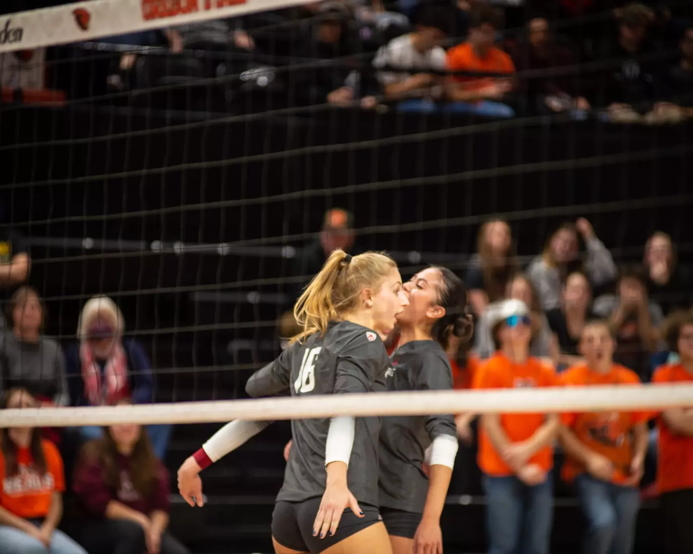 Washington State defeated Oregon State, 3-0, on Friday, Nov. 4, 2022, at Gill Coliseum.