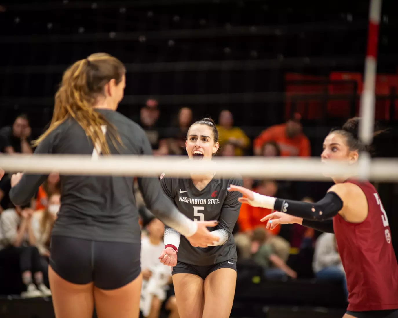 Washington State defeated Oregon State, 3-0, on Friday, Nov. 4, 2022, at Gill Coliseum.