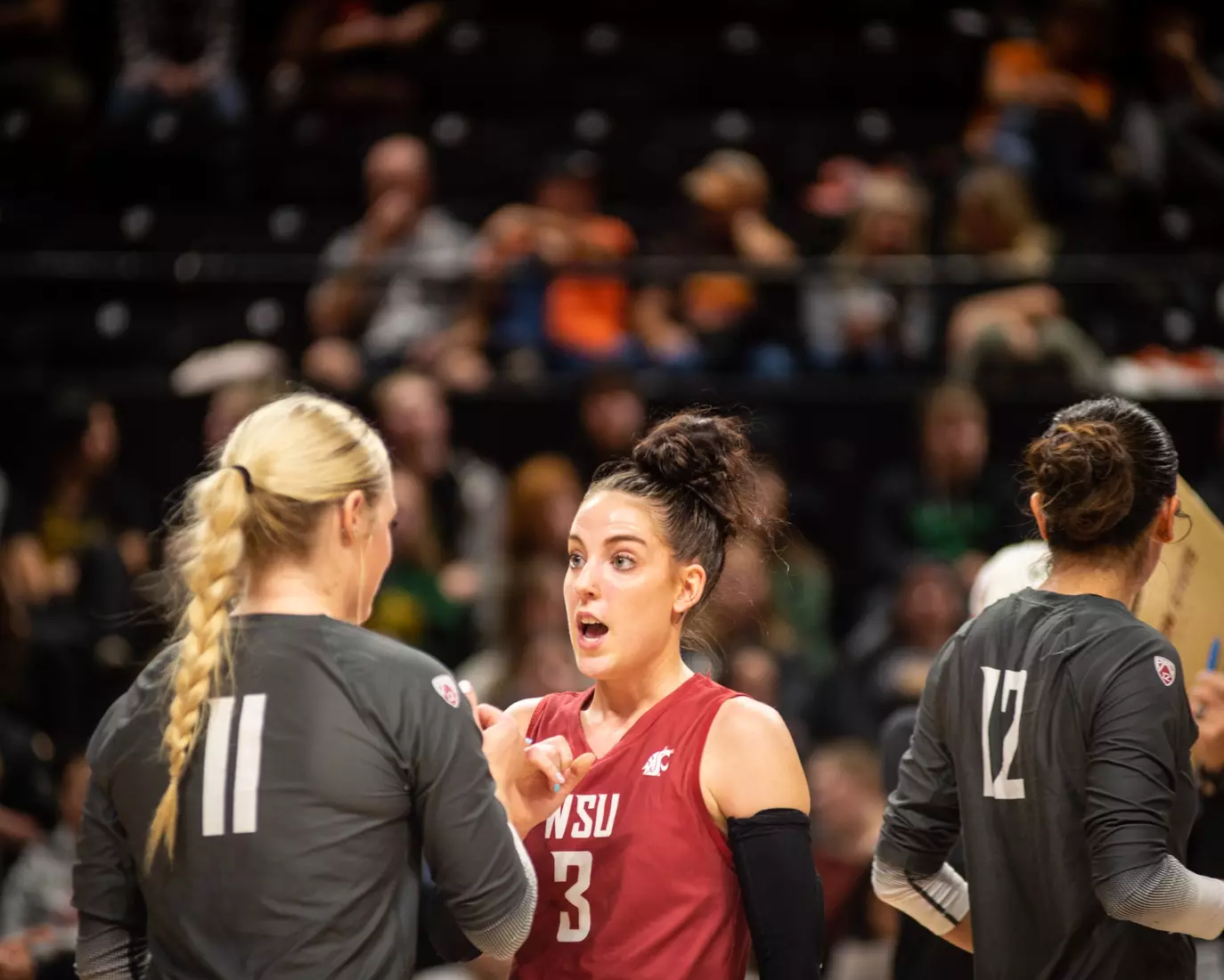 Washington State defeated Oregon State, 3-0, on Friday, Nov. 4, 2022, at Gill Coliseum.