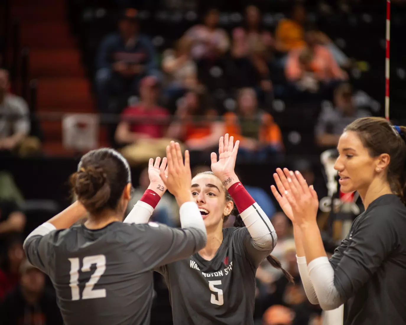 Washington State defeated Oregon State, 3-0, on Friday, Nov. 4, 2022, at Gill Coliseum.