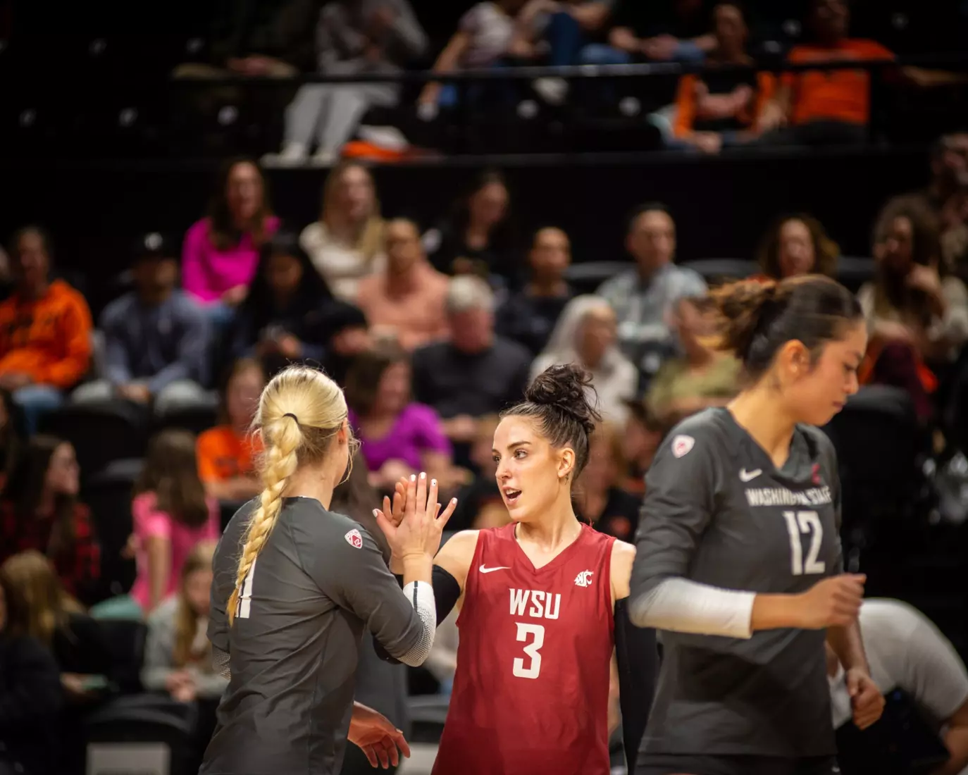 Washington State defeated Oregon State, 3-0, on Friday, Nov. 4, 2022, at Gill Coliseum.