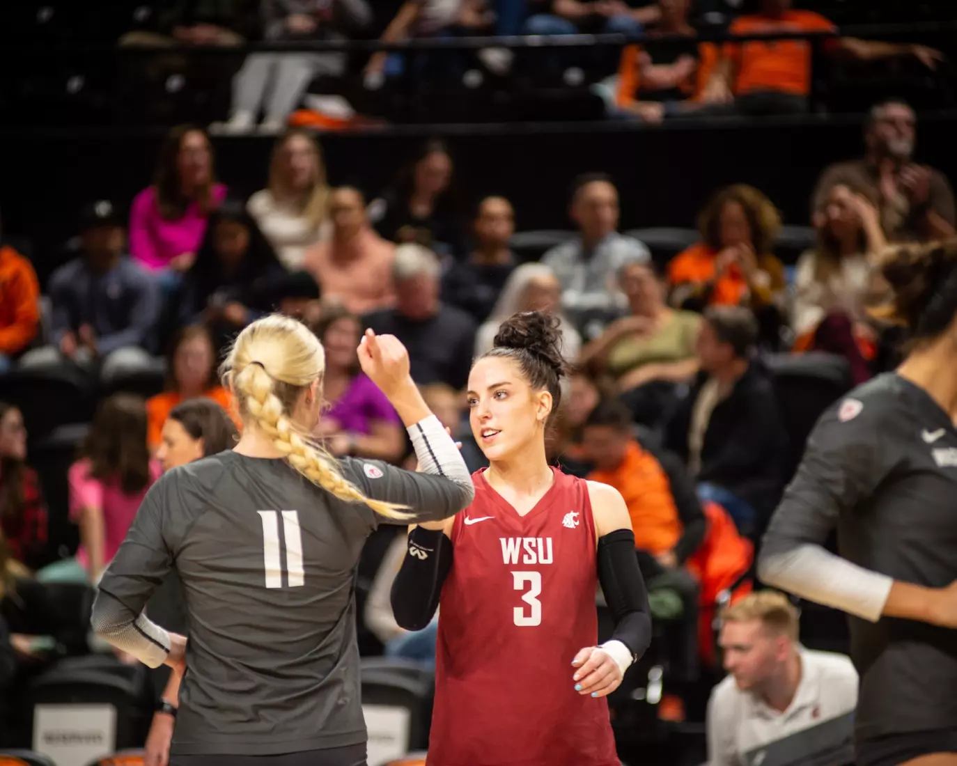 Washington State defeated Oregon State, 3-0, on Friday, Nov. 4, 2022, at Gill Coliseum.