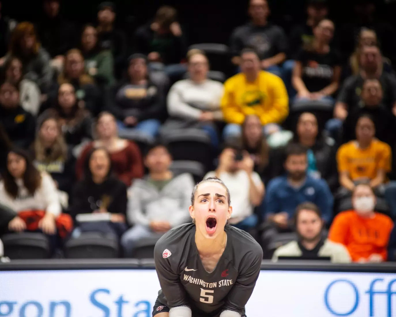 Washington State defeated Oregon State, 3-0, on Friday, Nov. 4, 2022, at Gill Coliseum.