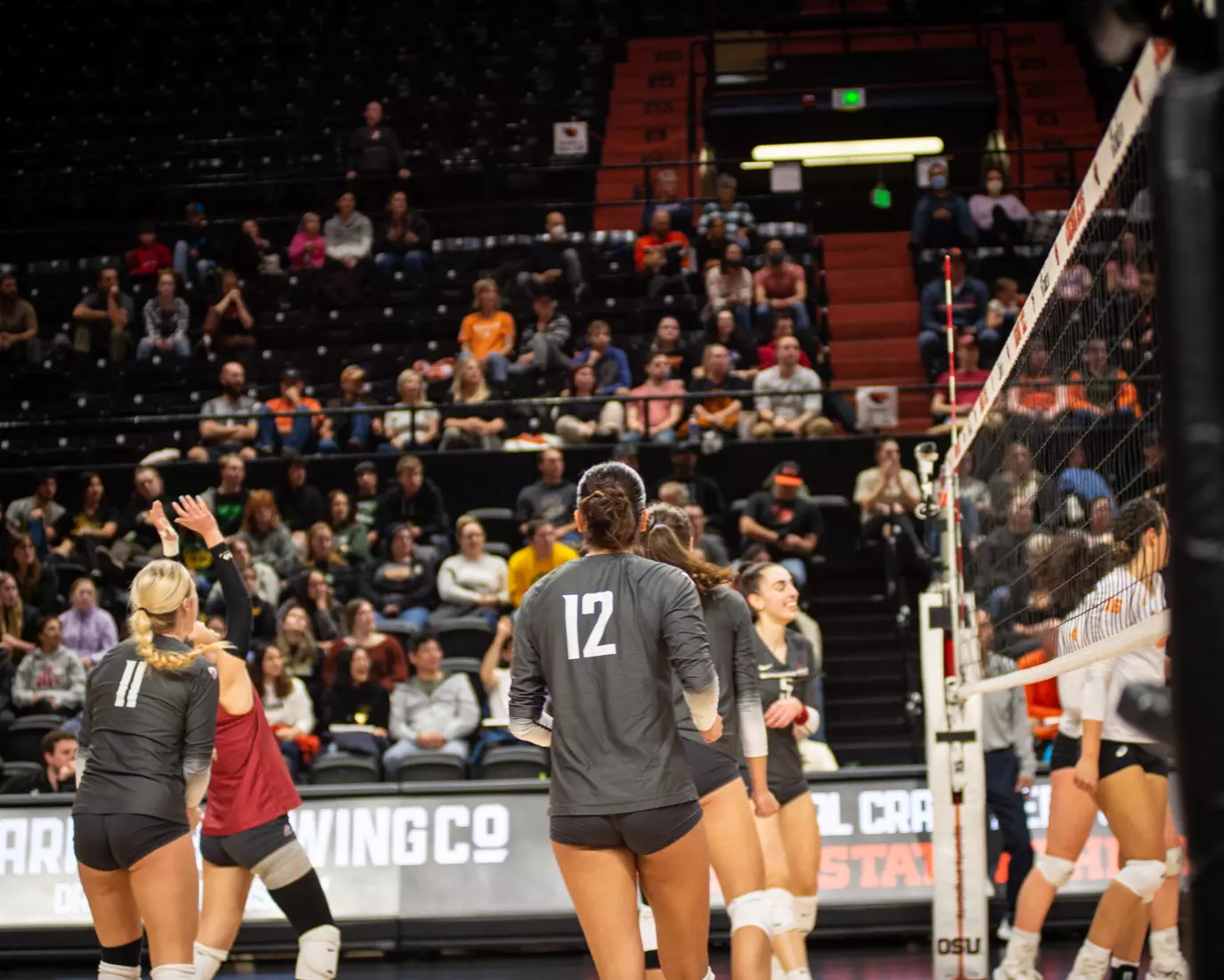 Washington State defeated Oregon State, 3-0, on Friday, Nov. 4, 2022, at Gill Coliseum.