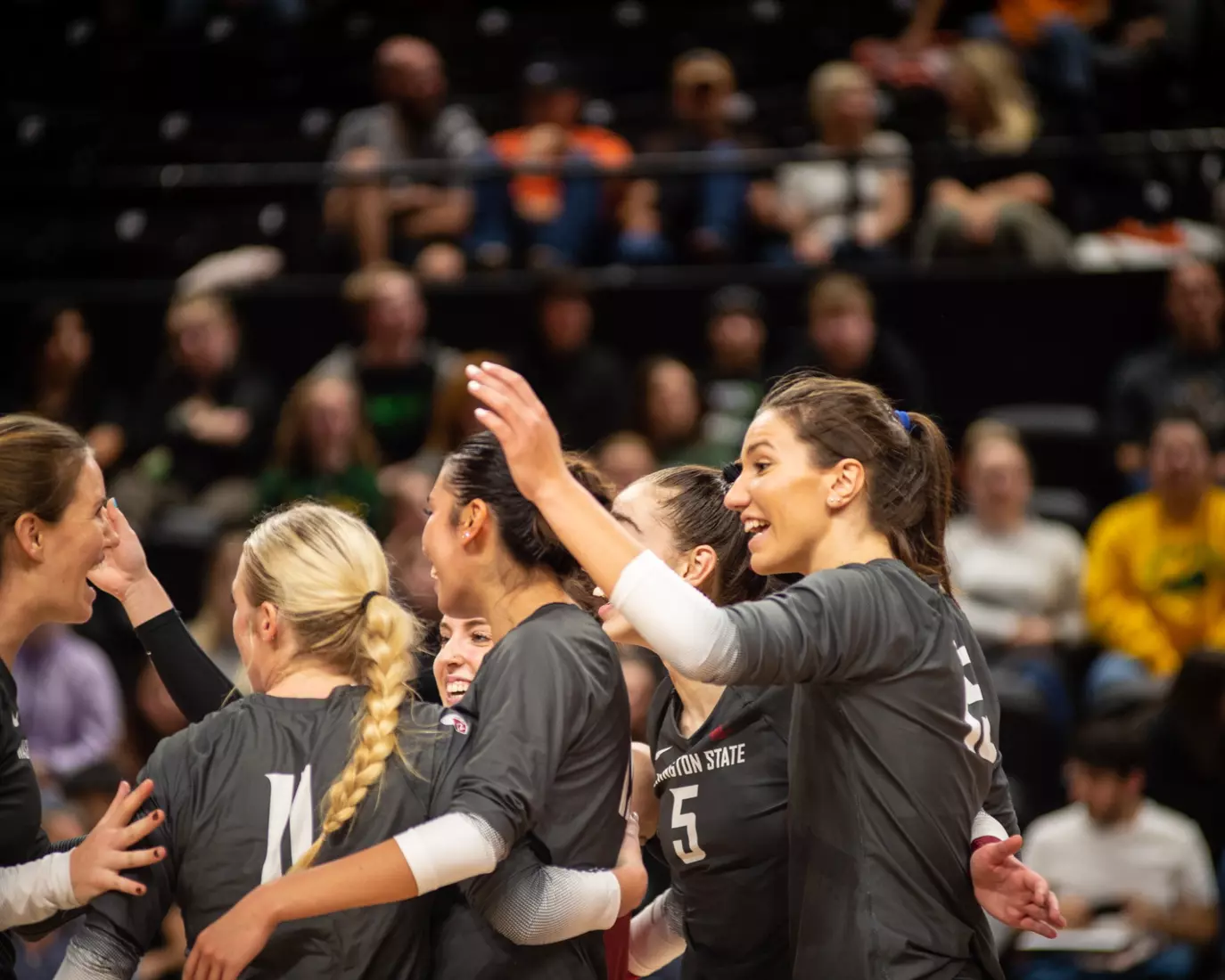 Washington State defeated Oregon State, 3-0, on Friday, Nov. 4, 2022, at Gill Coliseum.