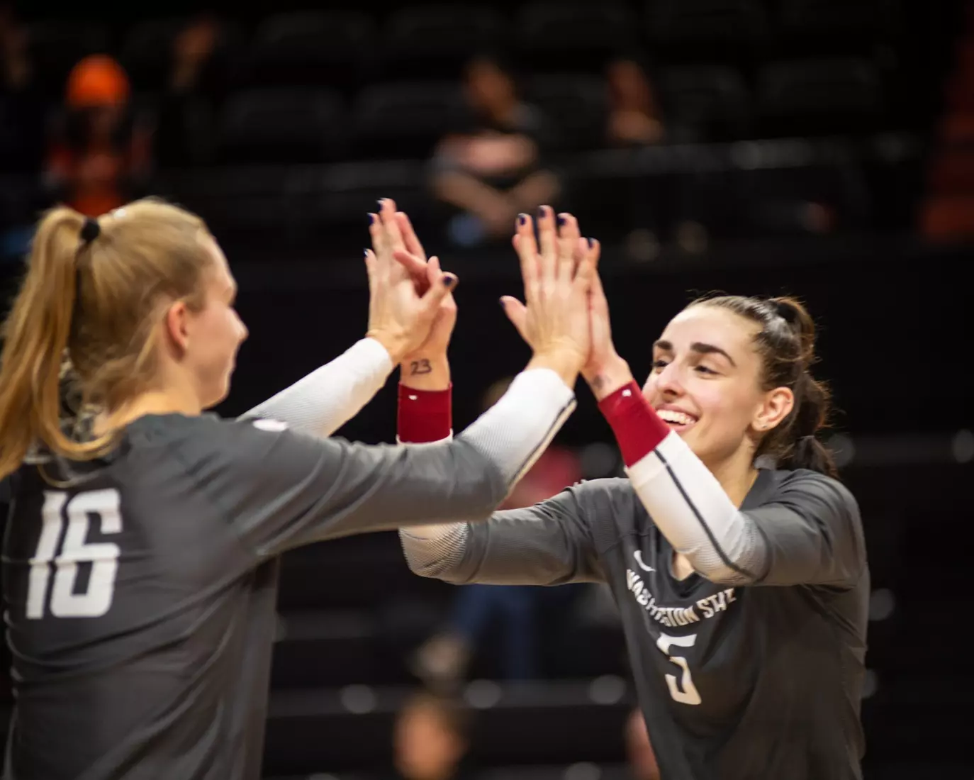 Washington State defeated Oregon State, 3-0, on Friday, Nov. 4, 2022, at Gill Coliseum.