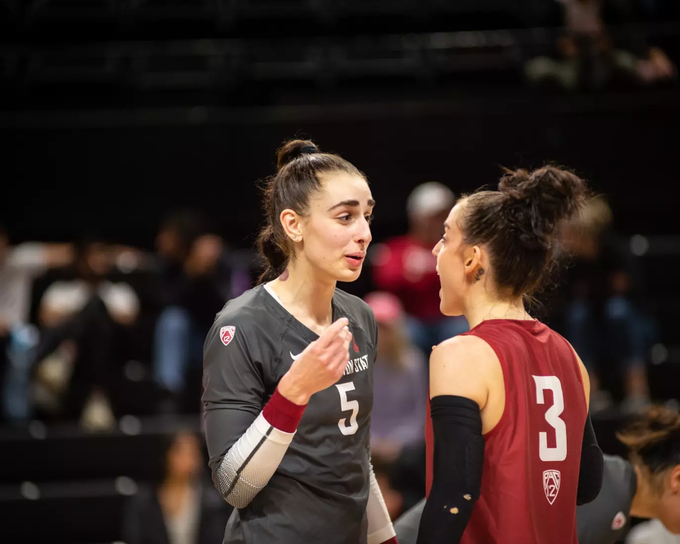 Washington State defeated Oregon State, 3-0, on Friday, Nov. 4, 2022, at Gill Coliseum.