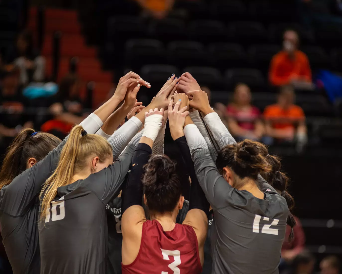 Washington State defeated Oregon State, 3-0, on Friday, Nov. 4, 2022, at Gill Coliseum.