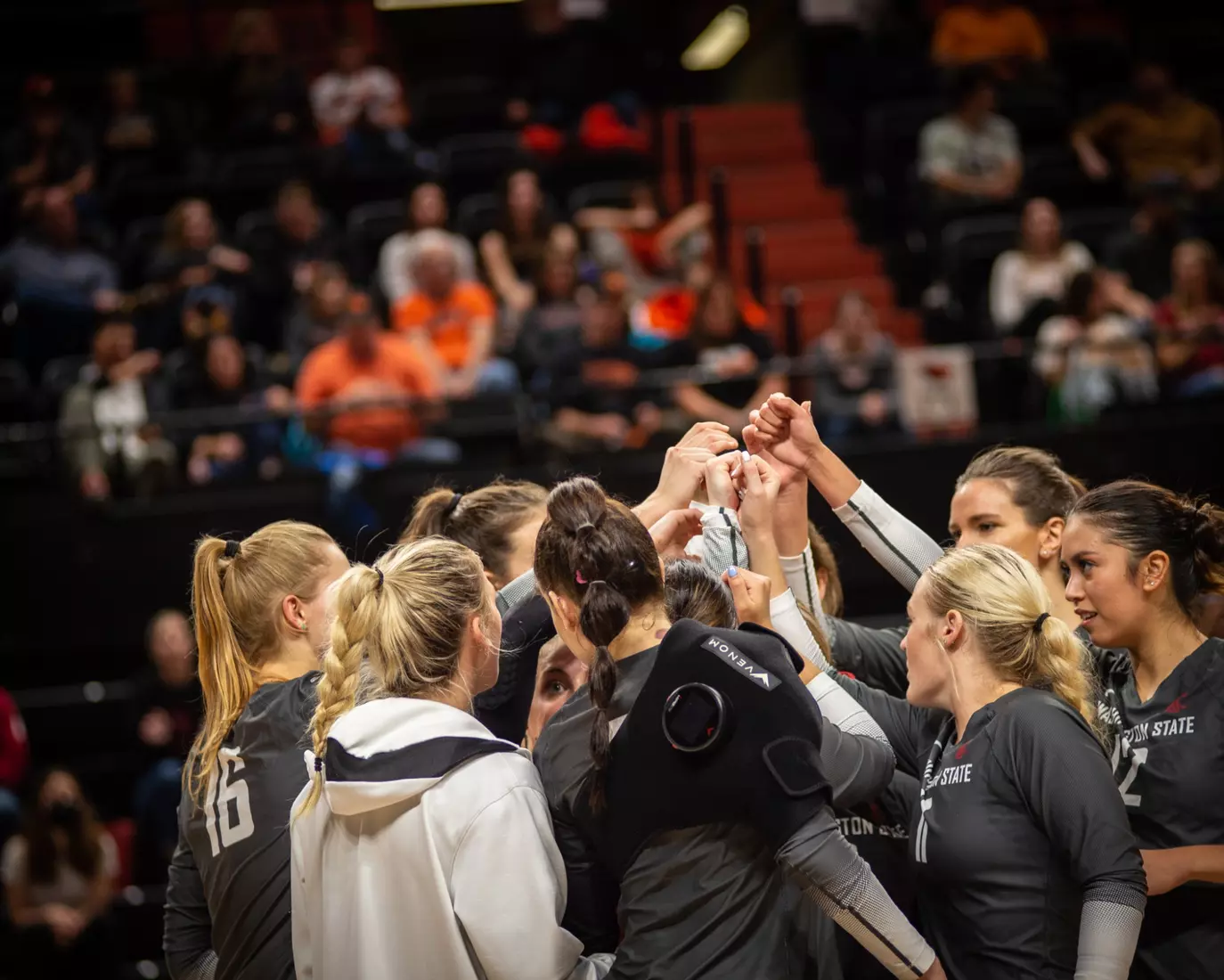 Washington State defeated Oregon State, 3-0, on Friday, Nov. 4, 2022, at Gill Coliseum.