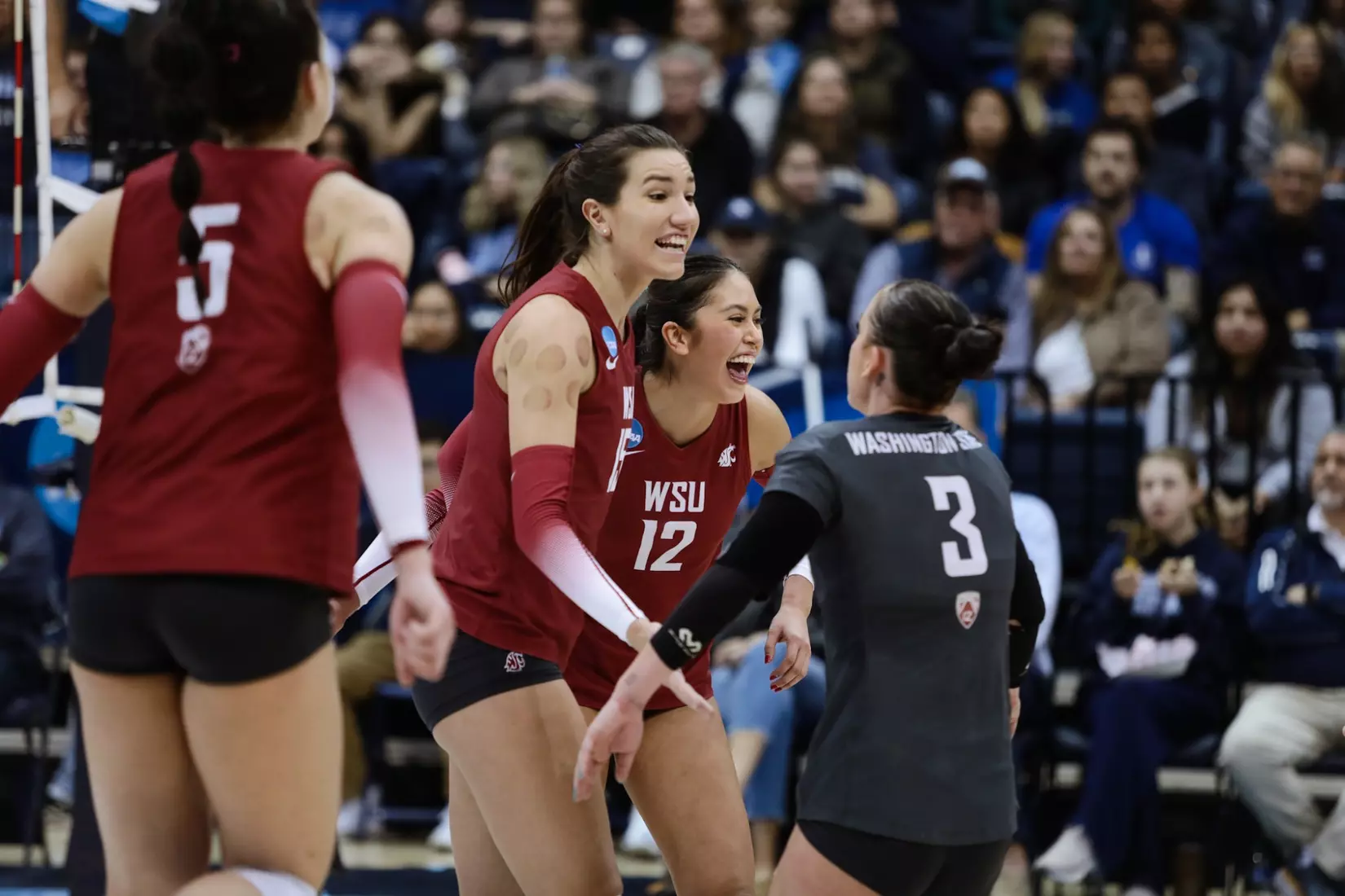 24th-ranked Washington State volleyball fell, 3-1, at third-ranked San Diego, on Friday, Dec. 2, 2022, at Jenny Craig Pavilion, in San Diego, Calif.