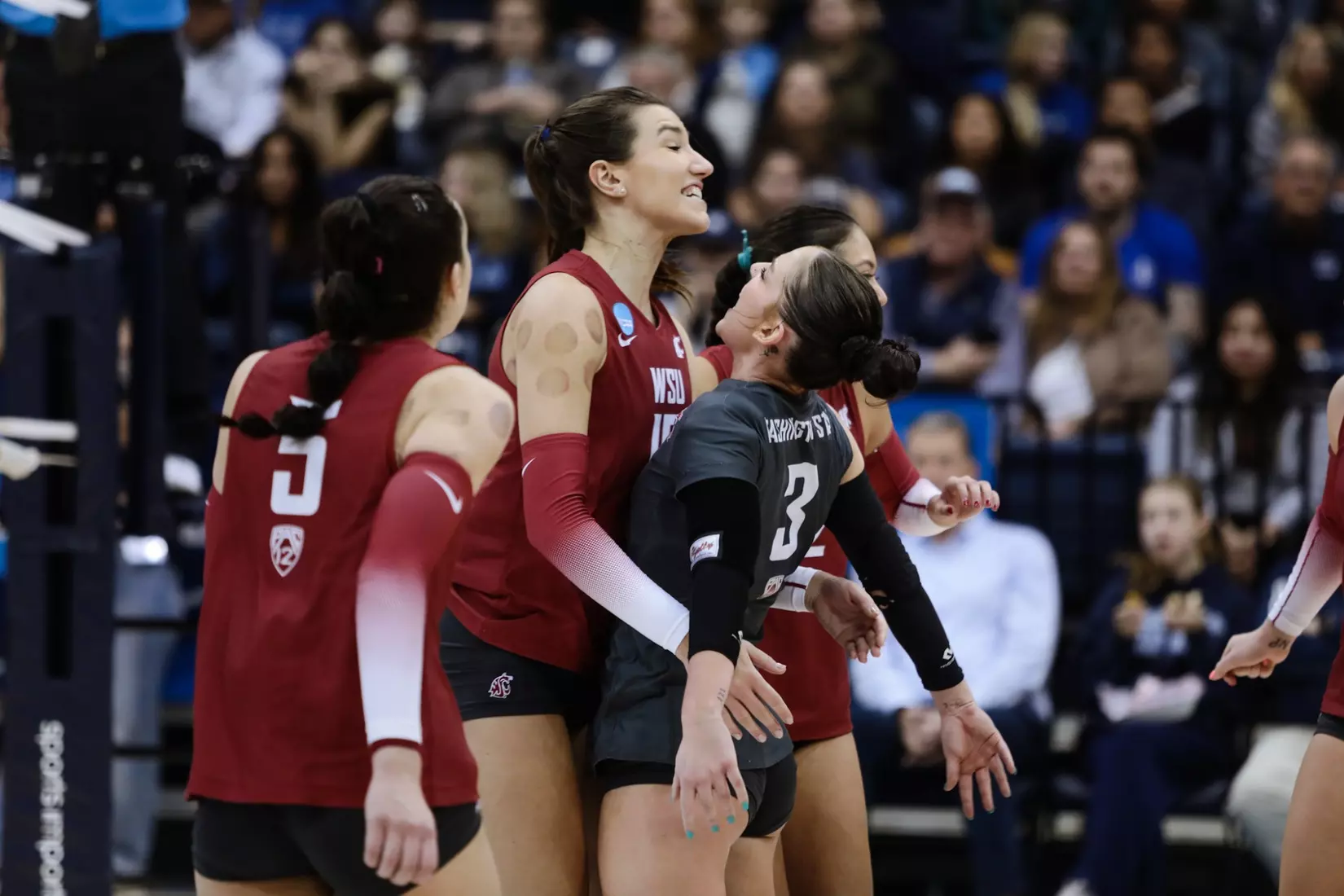 24th-ranked Washington State volleyball fell, 3-1, at third-ranked San Diego, on Friday, Dec. 2, 2022, at Jenny Craig Pavilion, in San Diego, Calif.