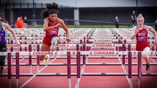 demello_homepage_track