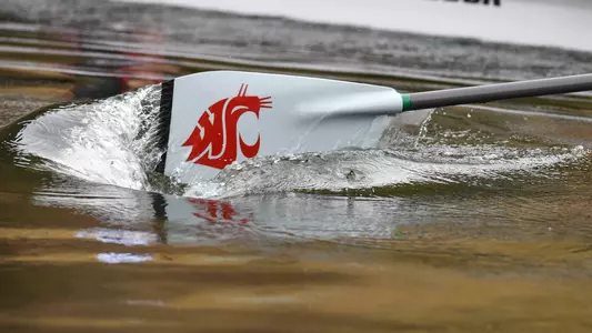 WSU Rowing Oar in Water