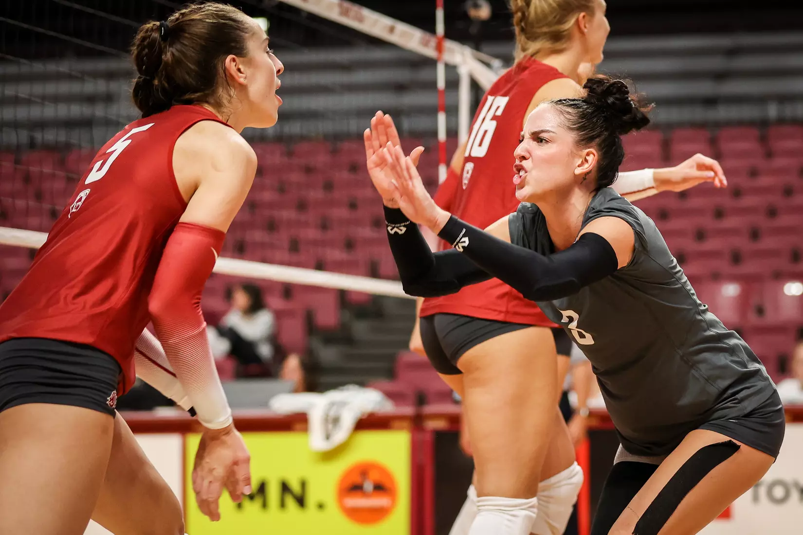 WSU volleyball fell in five sets to No. 22 Pepperdine at the University of Minnesota Diet Coke Classic.