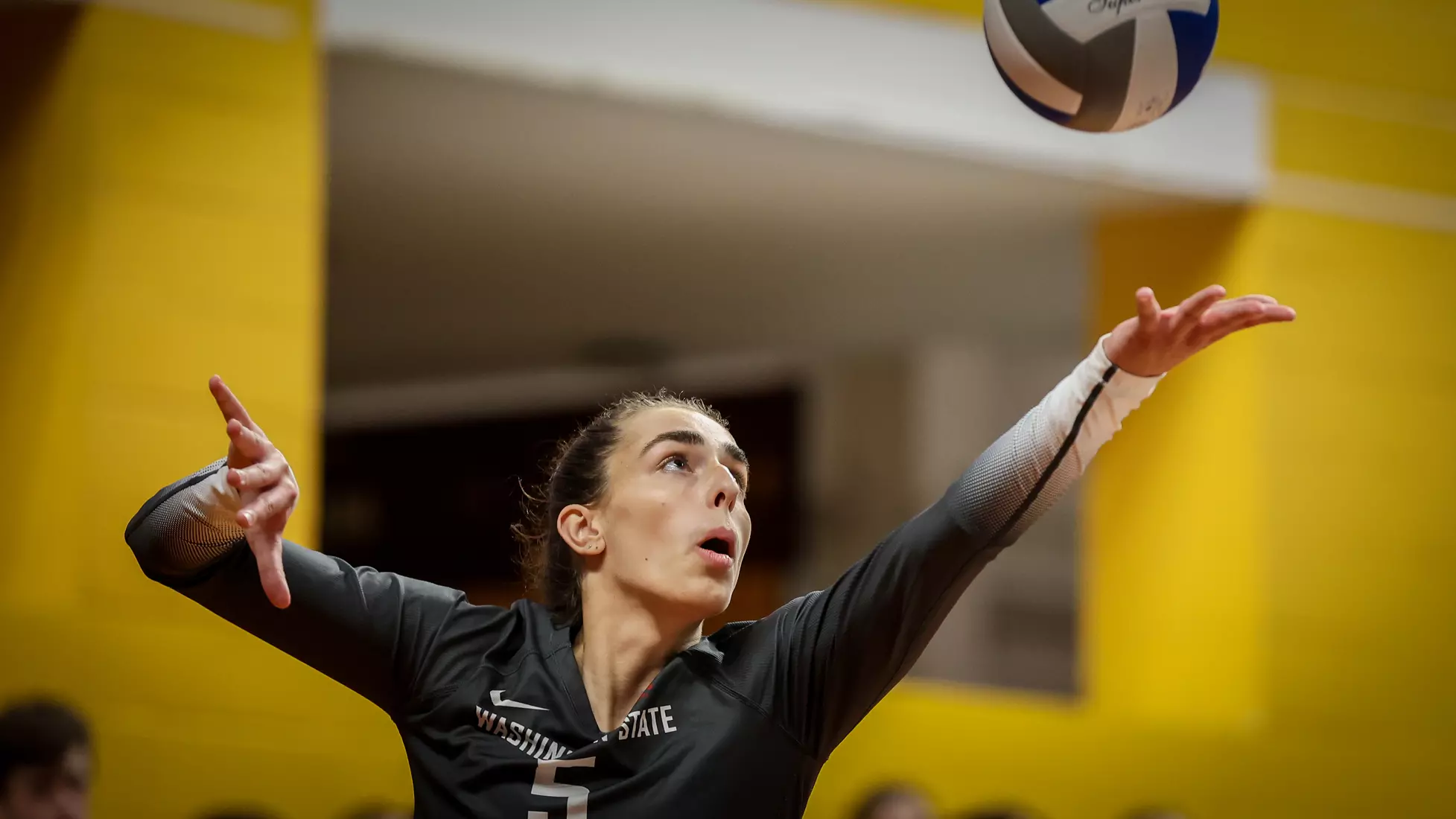 WSU volleyball fell, 3-1, at sixth-ranked Minnesota.