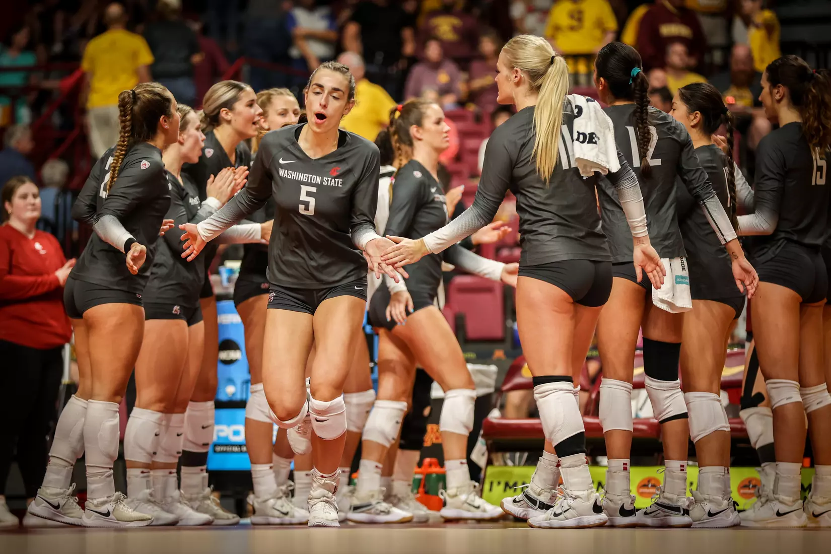 WSU volleyball fell, 3-1, at sixth-ranked Minnesota.