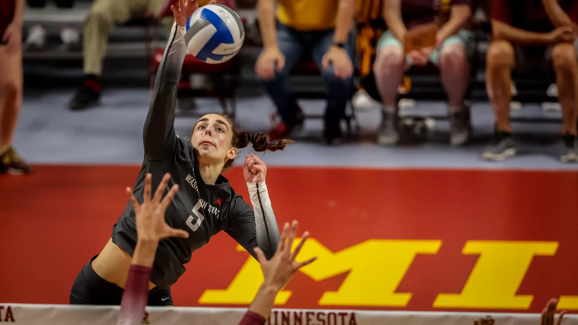WSU volleyball fell, 3-1, at sixth-ranked Minnesota.