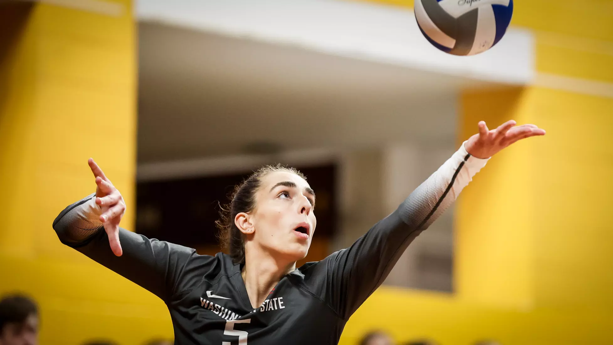 WSU volleyball fell, 3-1, at sixth-ranked Minnesota.