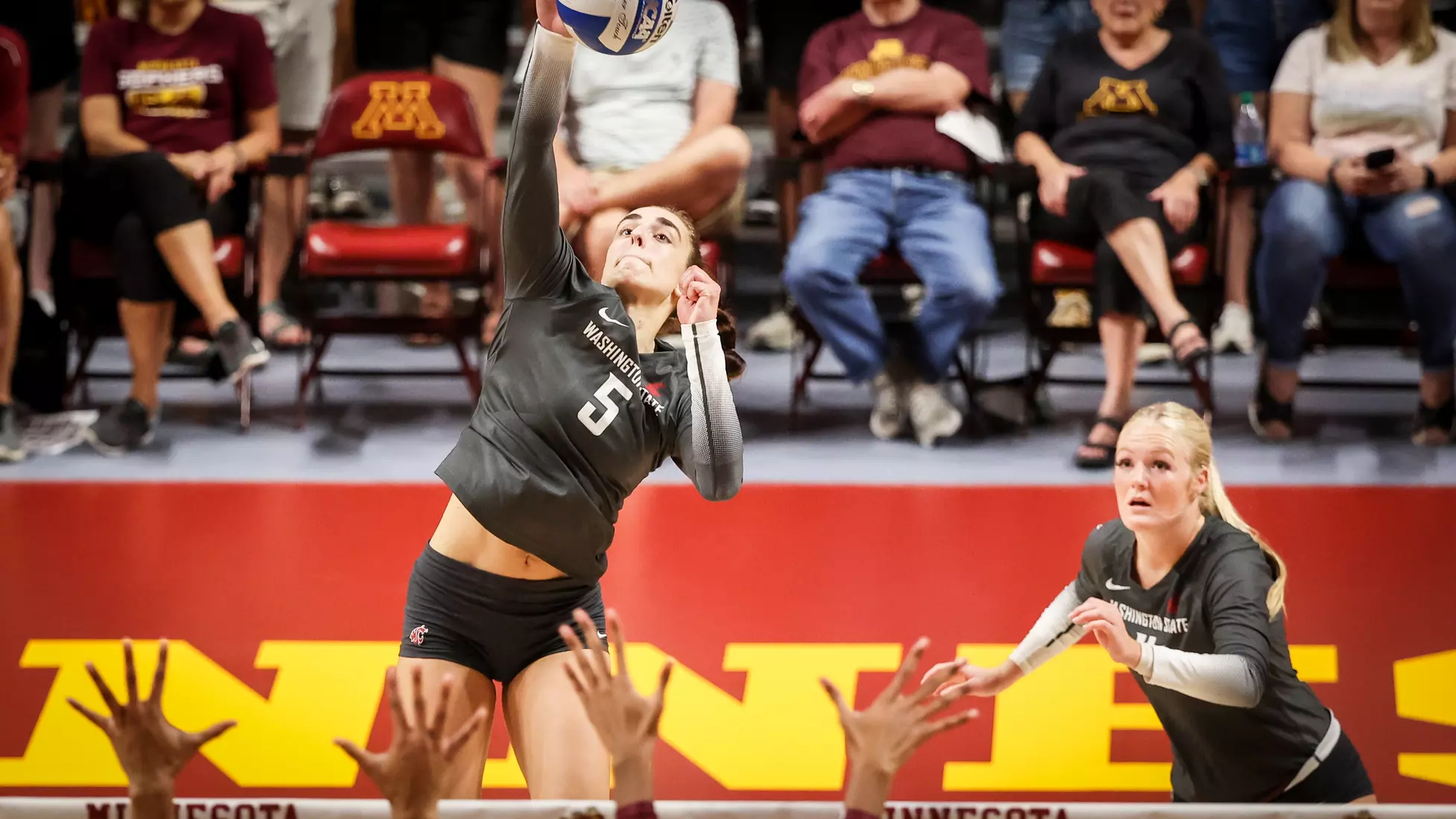 WSU volleyball fell, 3-1, at sixth-ranked Minnesota.