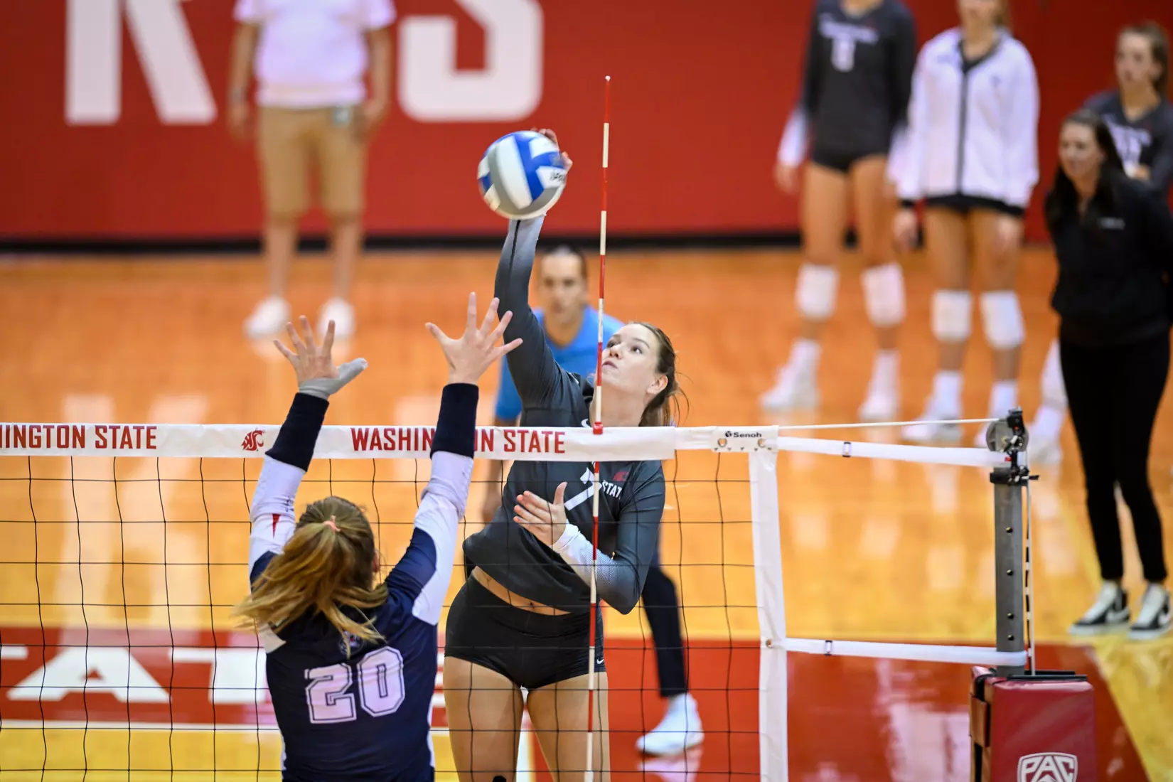 WSU volleyball defeats Belmont, 3-1, on Friday, Sept. 2, 2022.