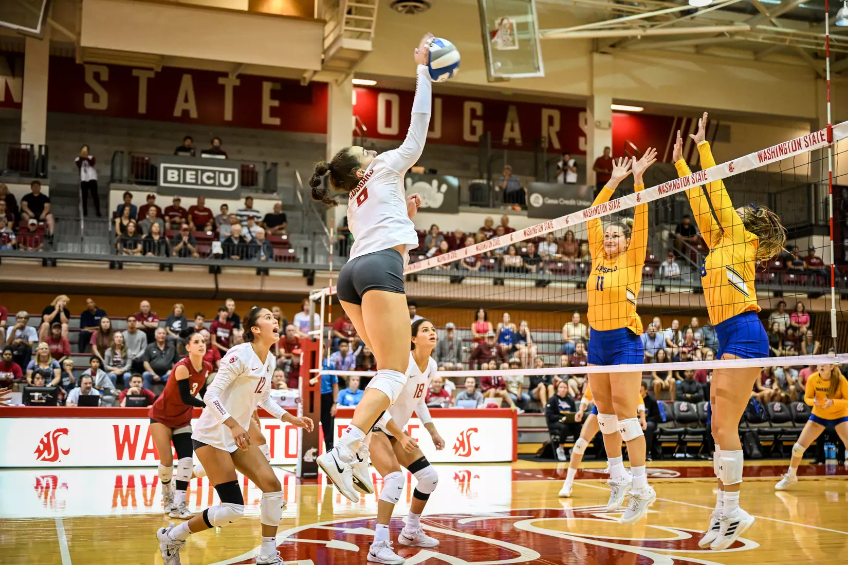 Washington State volleyball defeated CSU Bakersfield, 3-1, on Friday, Sept. 2, 2022.