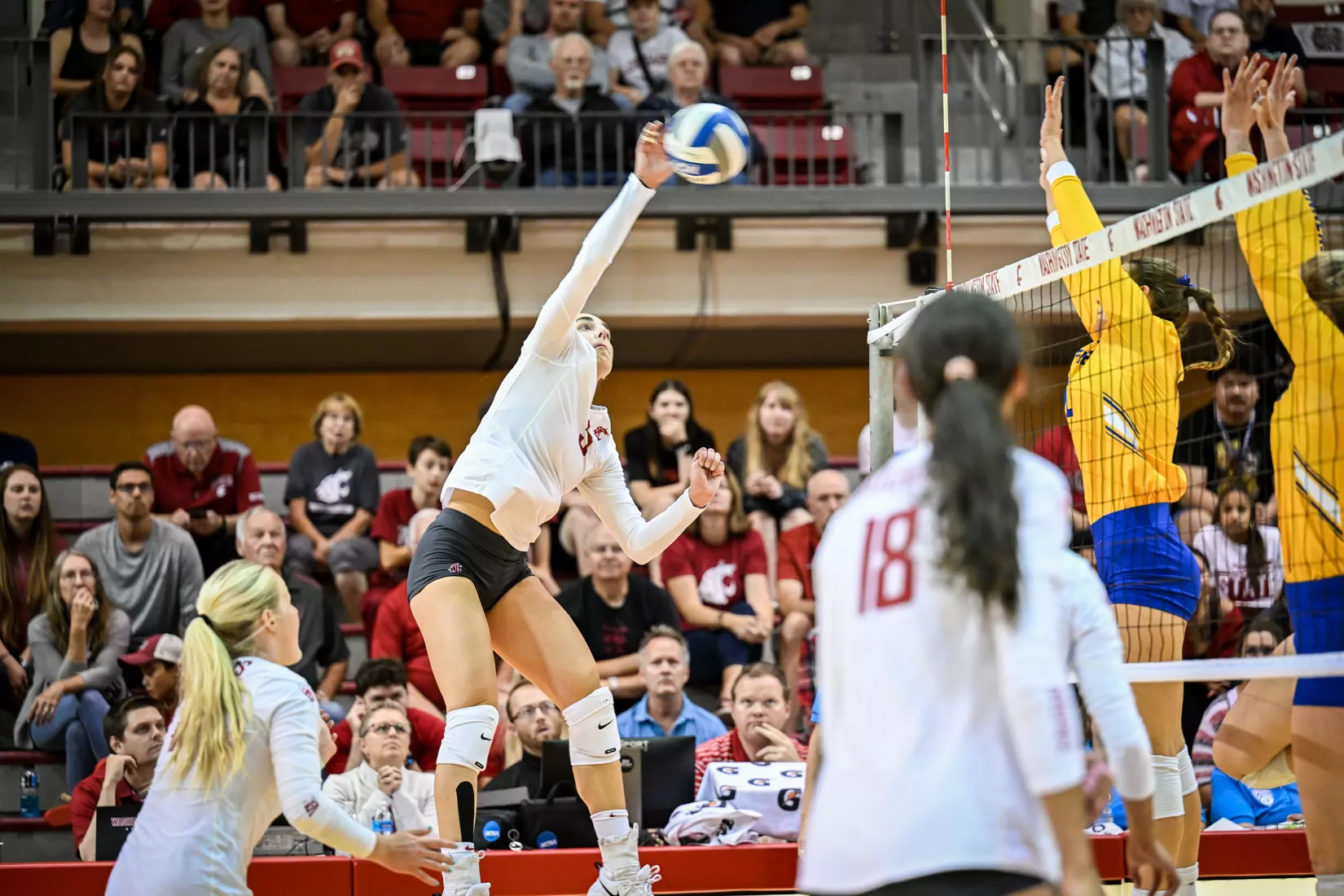 Washington State volleyball defeated CSU Bakersfield, 3-1, on Friday, Sept. 2, 2022.