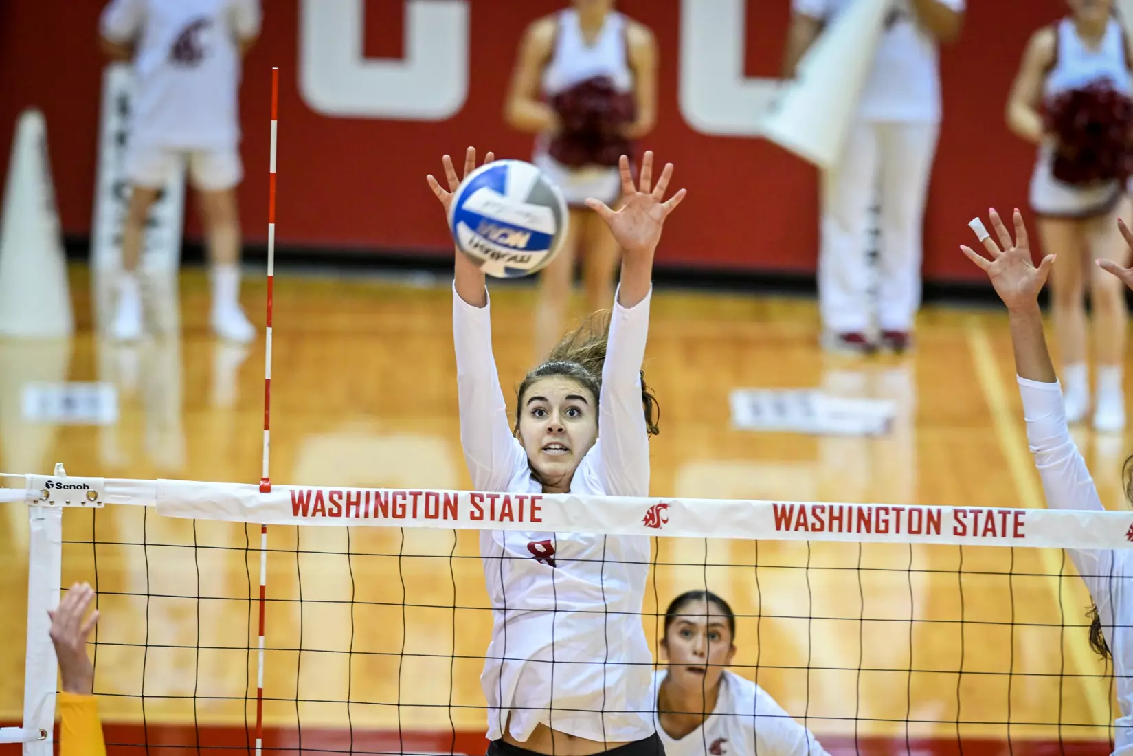 Washington State volleyball defeated CSU Bakersfield, 3-1, on Friday, Sept. 2, 2022.