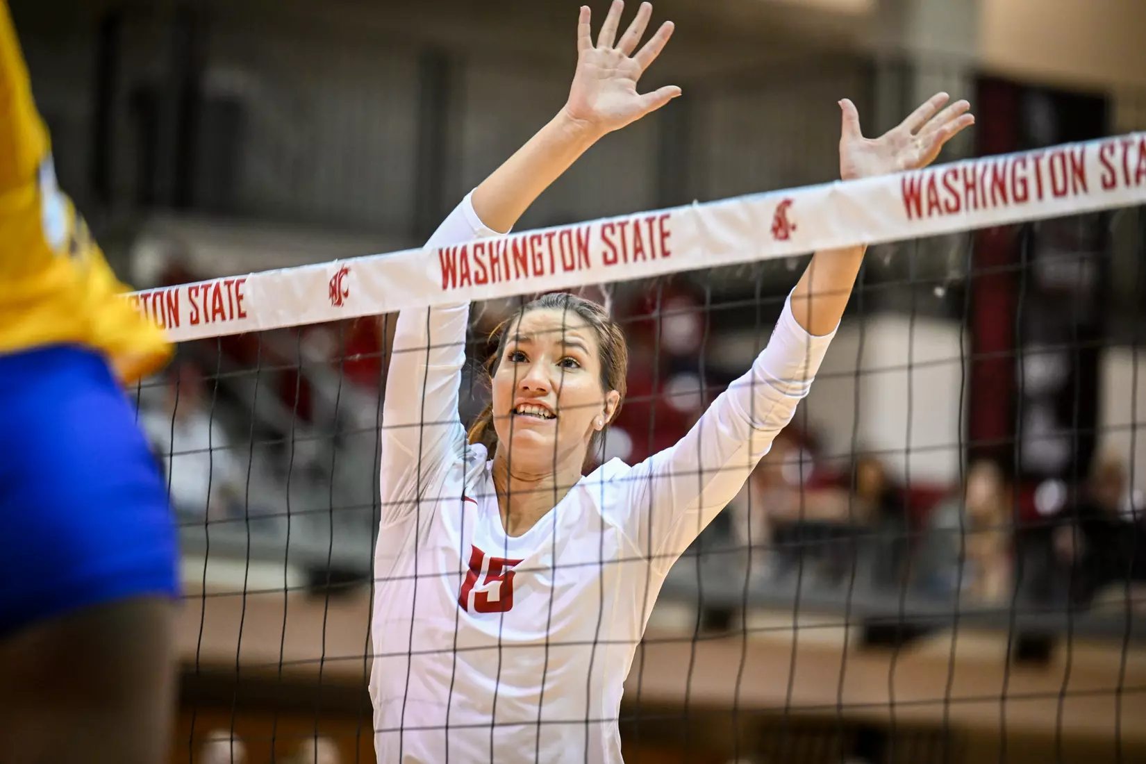 Washington State volleyball defeated CSU Bakersfield, 3-1, on Friday, Sept. 2, 2022.