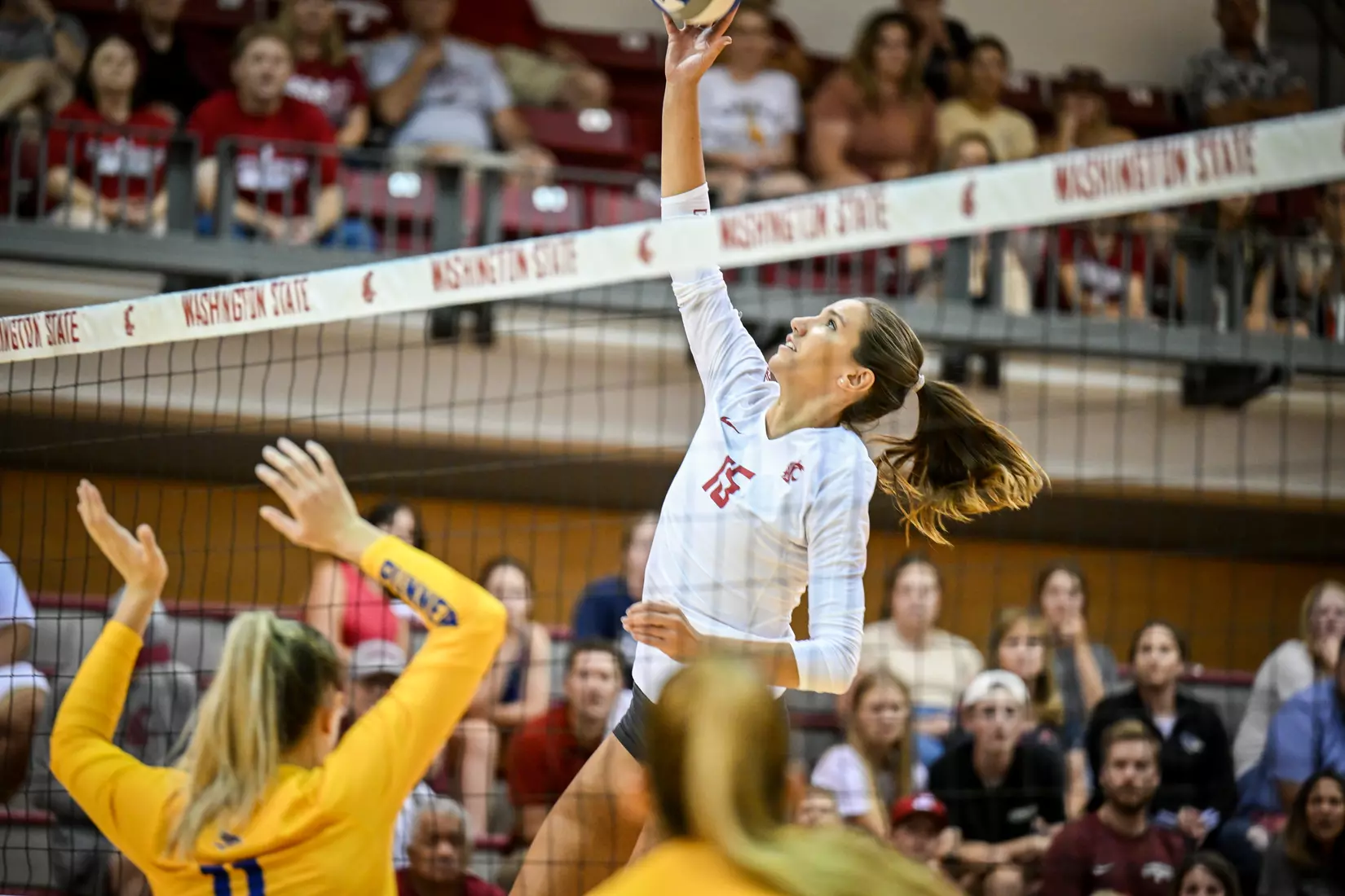 Washington State volleyball defeated CSU Bakersfield, 3-1, on Friday, Sept. 2, 2022.