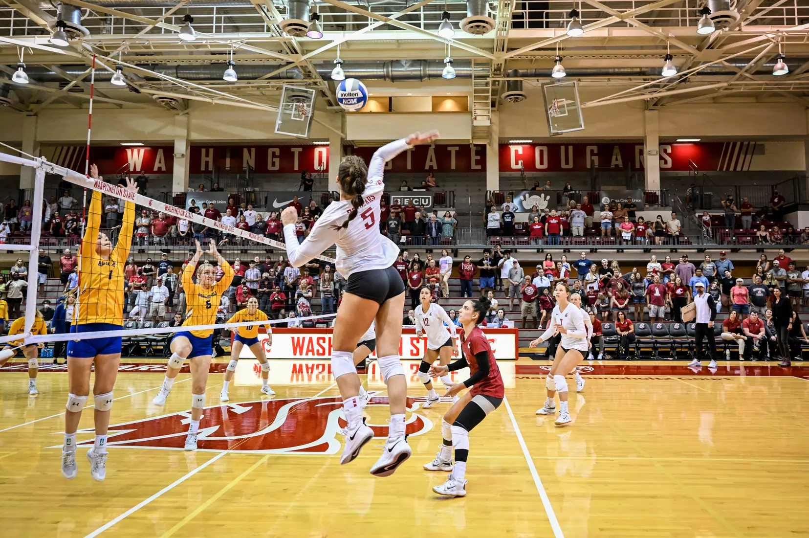 Washington State volleyball defeated CSU Bakersfield, 3-1, on Friday, Sept. 2, 2022.