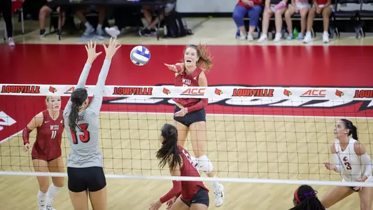 230826_vb_Timmer-homepage