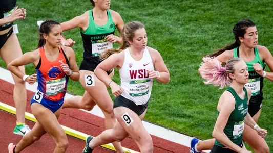 StoneBoggsAlaina_homepage