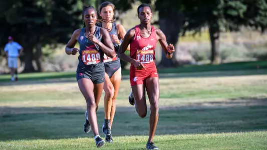 XC_homepage