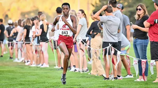 XC_Jerotich_Homepage