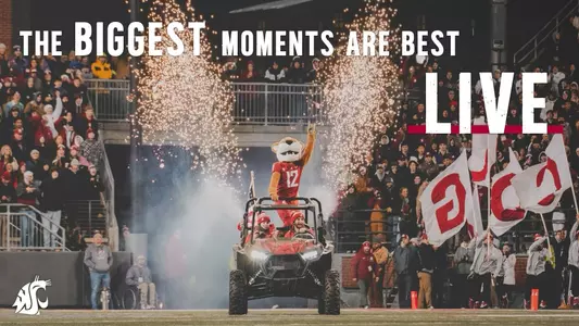 Renewal Graphic 2024