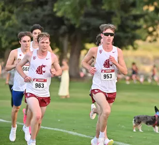 Cougar Classic Picture 5