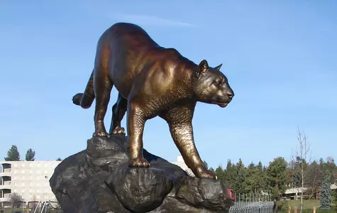 Cougar Pride Statue