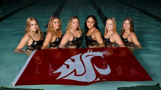 Cougar Swimming