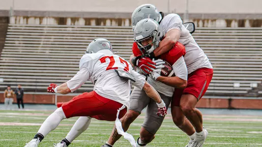 Leo Pulalsi Ishmael Gibbs