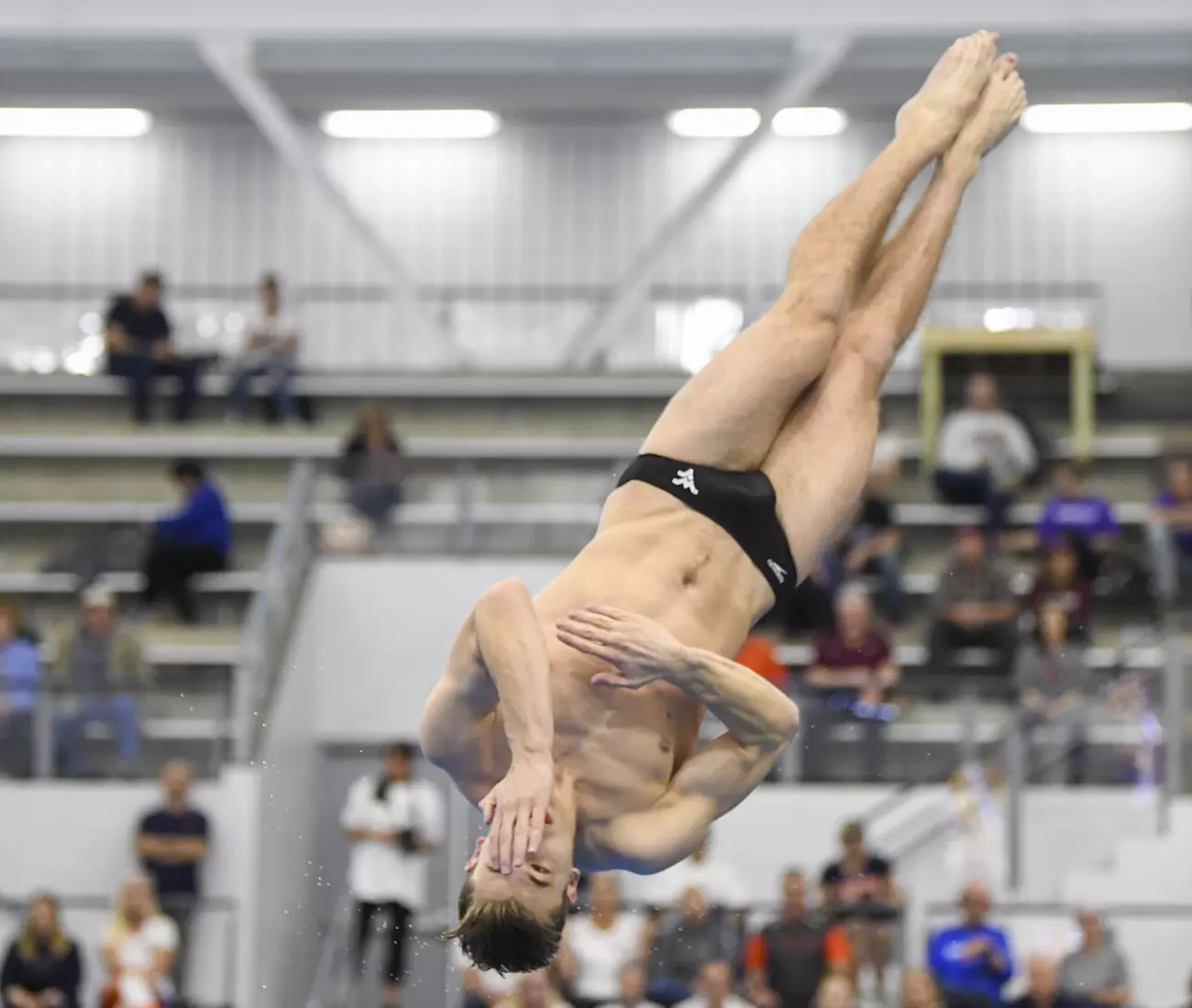 PJ Lenz dives in the one-meter finals.