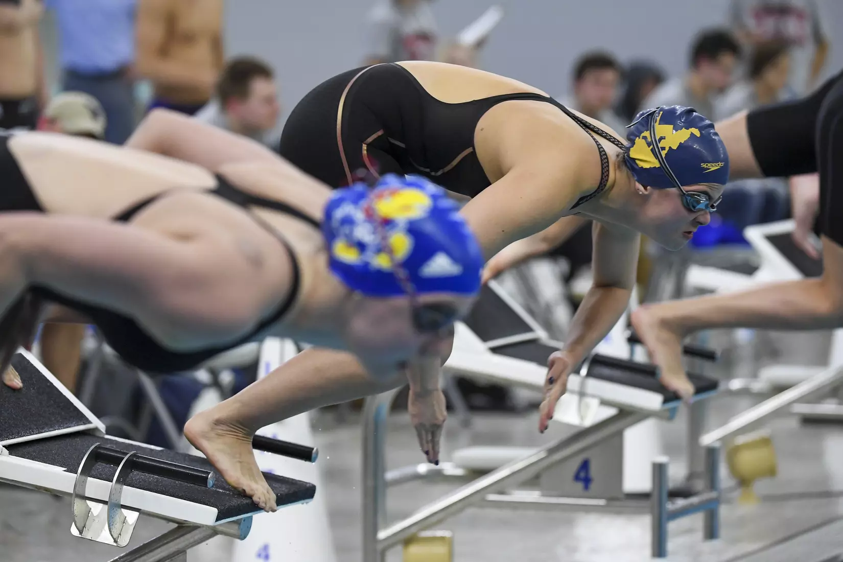 Julia Nilton starts the 50 meter freestyle.