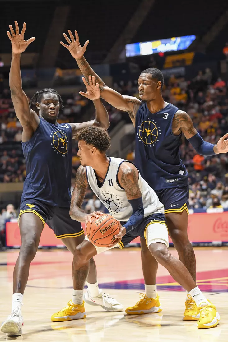 Gold Blue Debut action.