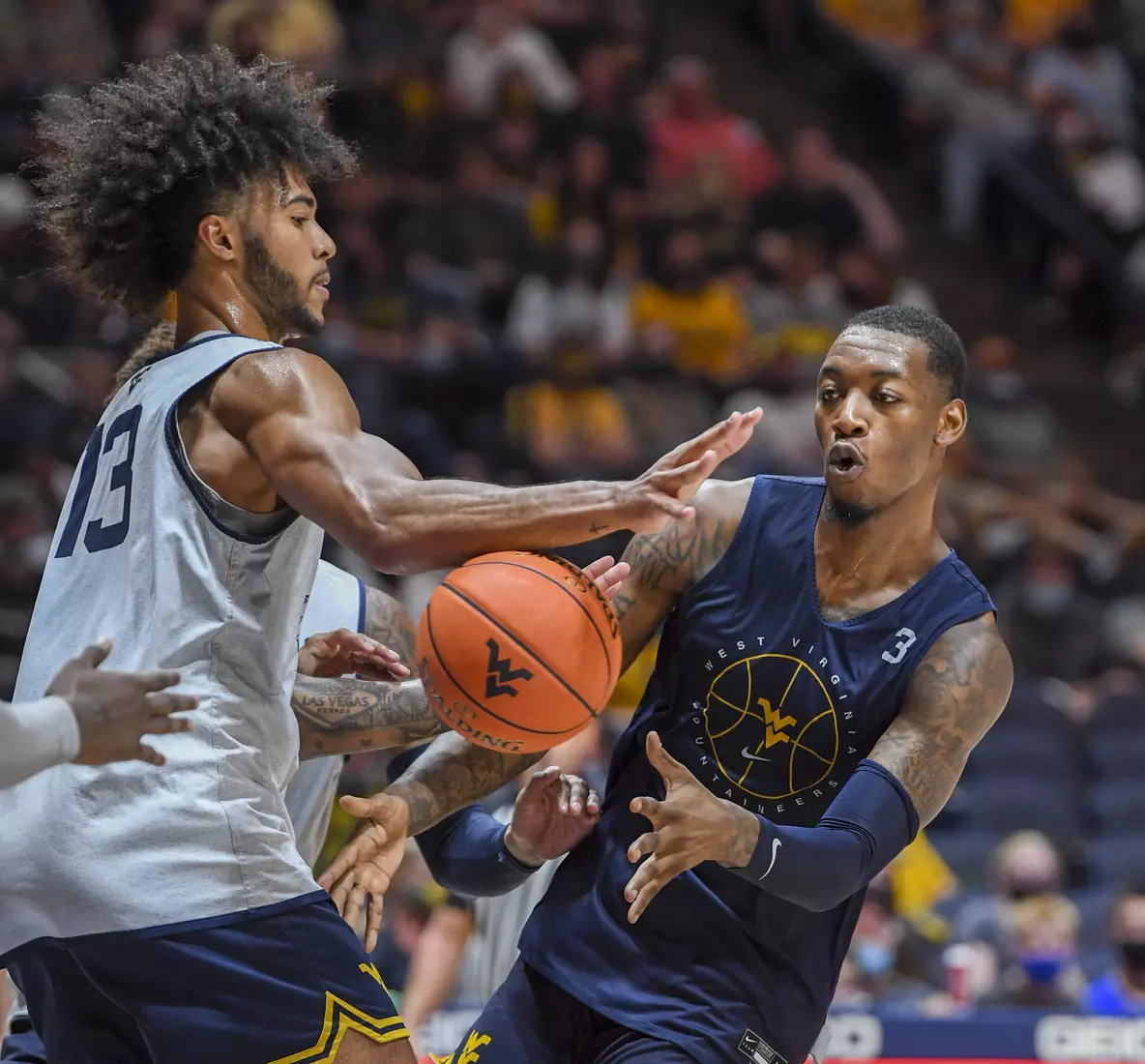 Gold Blue Debut action.