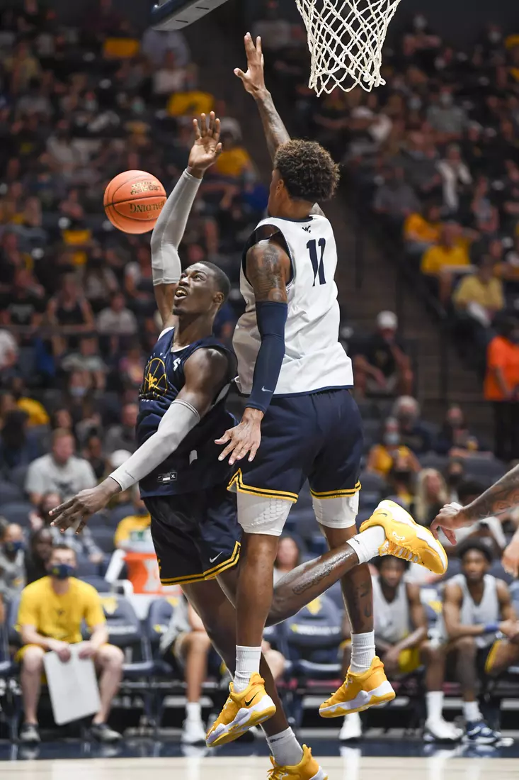 Gold Blue Debut action.