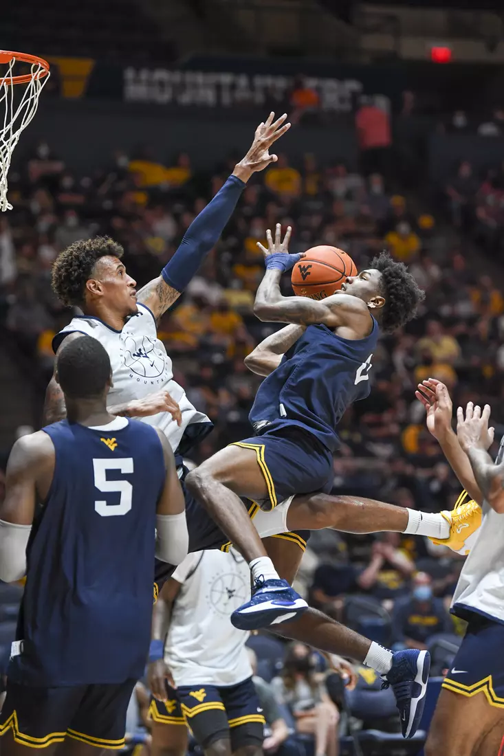 Gold Blue Debut action.