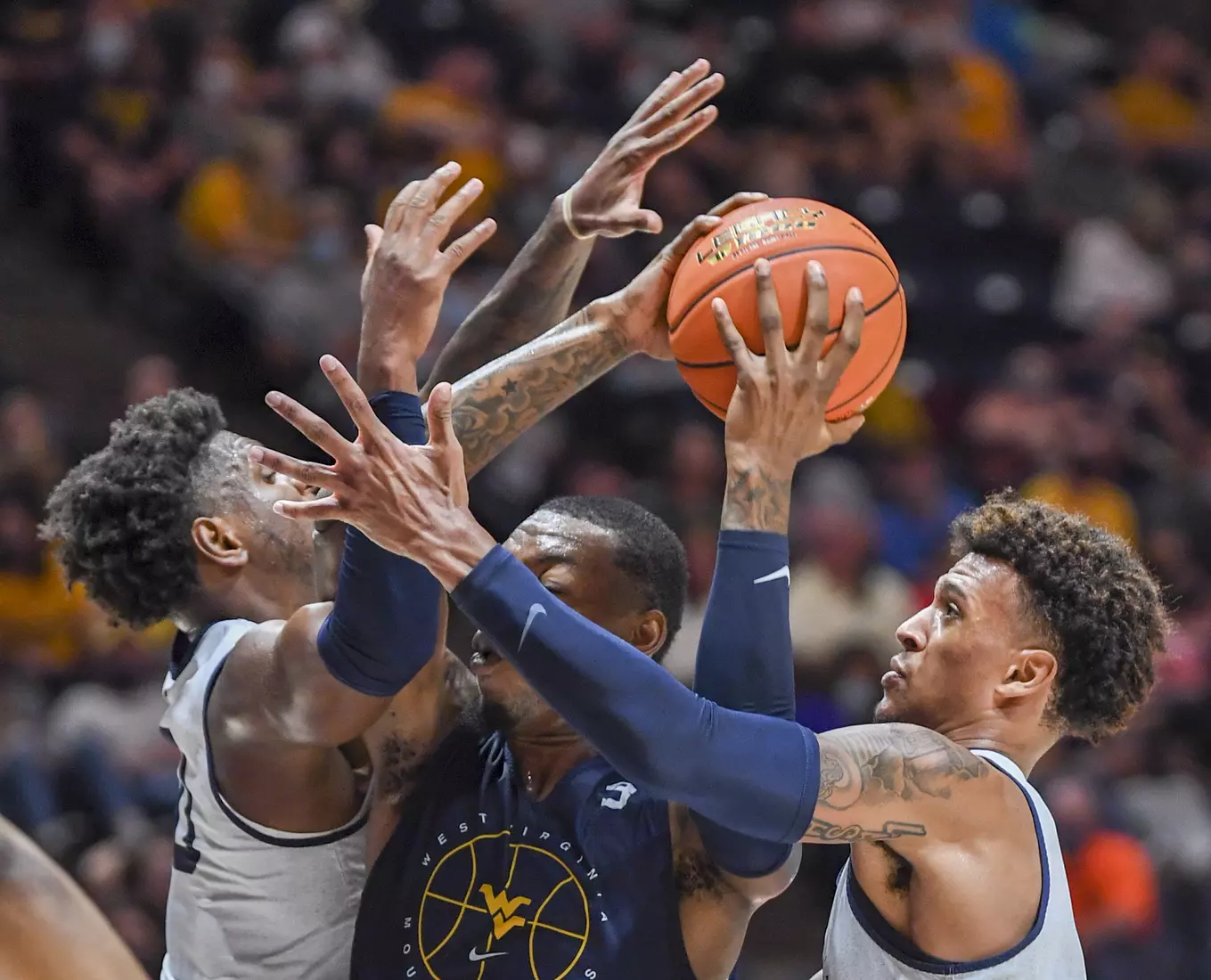 Gold Blue Debut action.