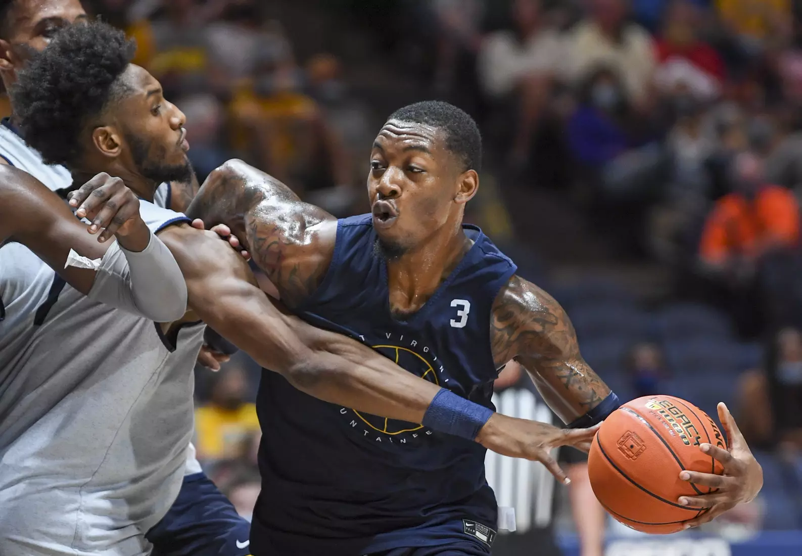 Gold Blue Debut action.